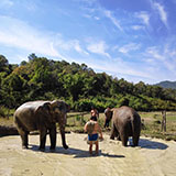 Travel Program 2 days 2 nights