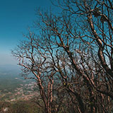 Travel Program 2 days 2 nights